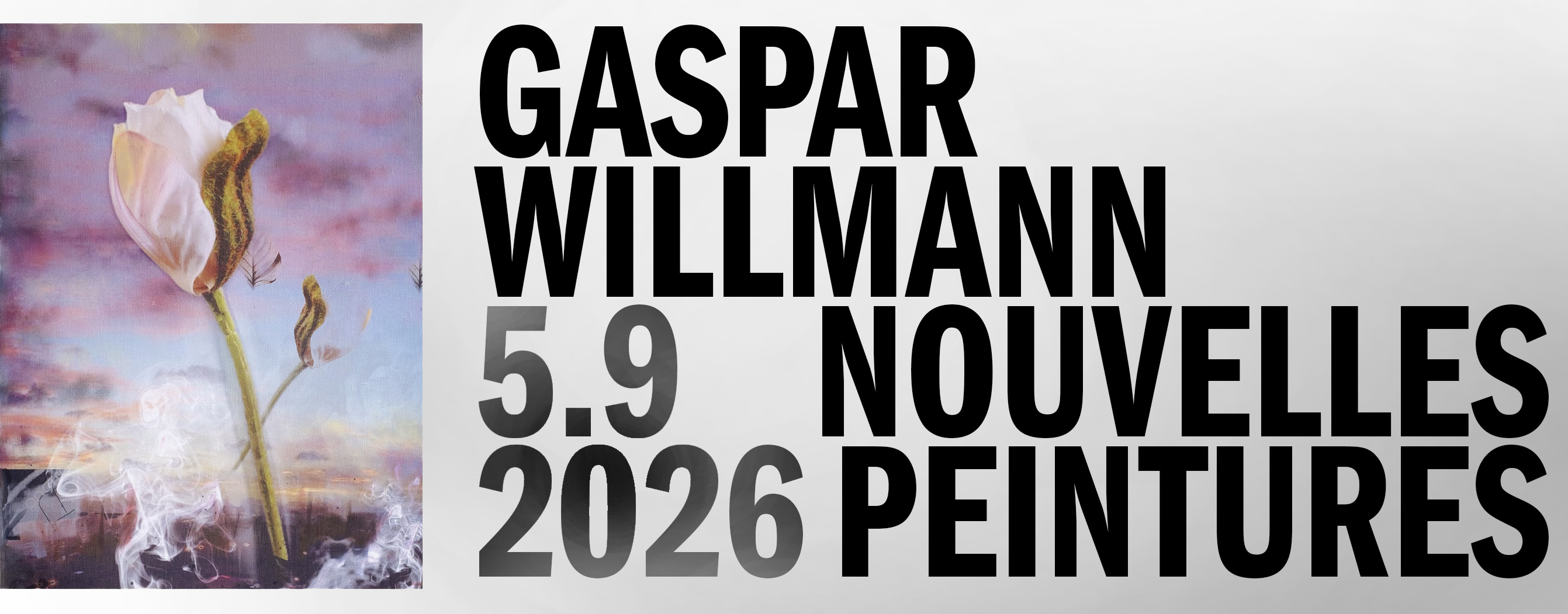 Nouvelles peintures, Gaspar Willmann, exo exo, Paris
